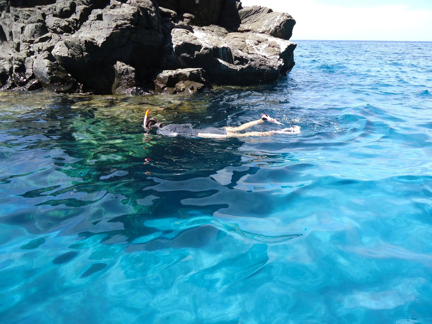 Guest House Darumaya - Hostel