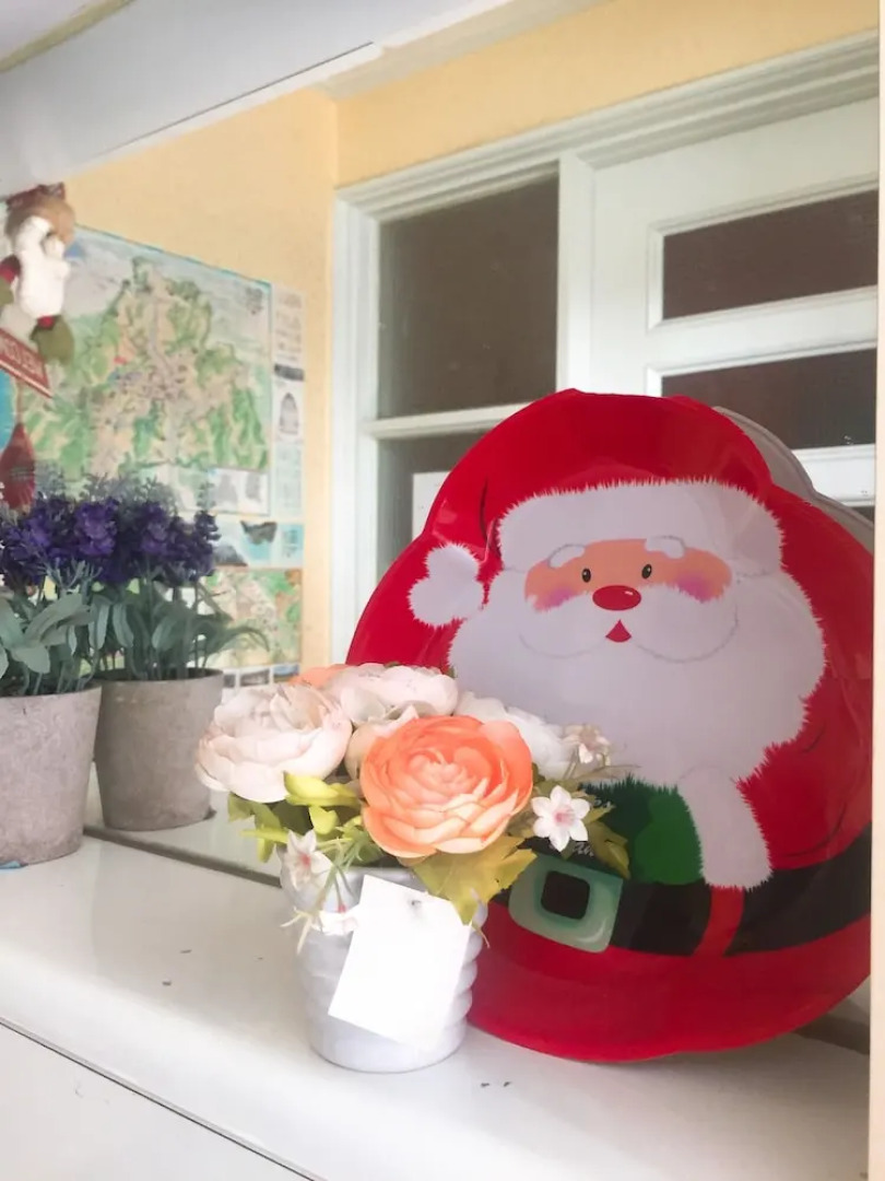 GUESTHOUSE SANTA - Hostel