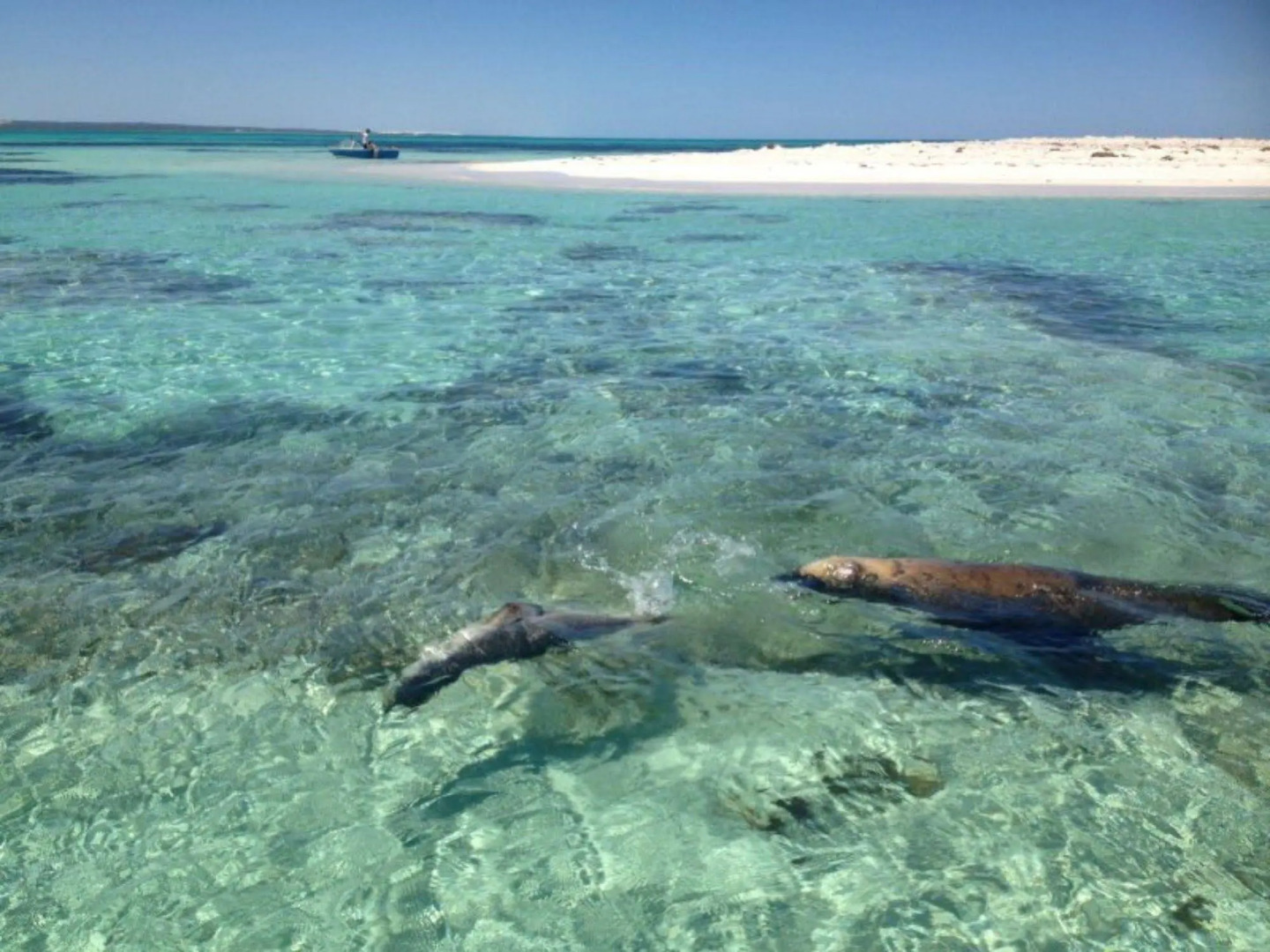 Pinnacles Edge Resort