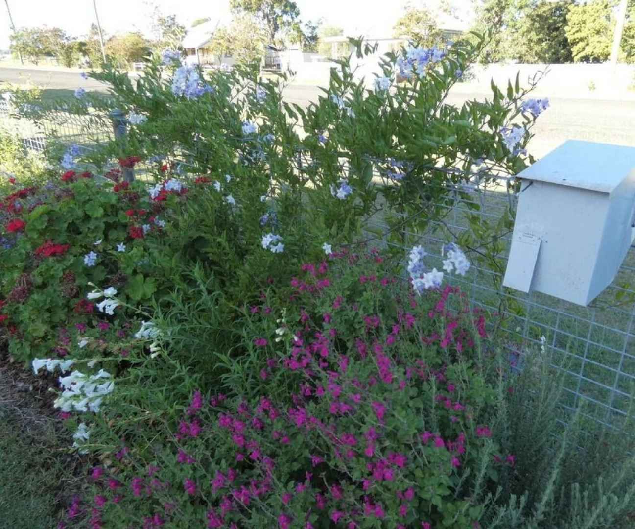 Victoria's Cottage Warwick