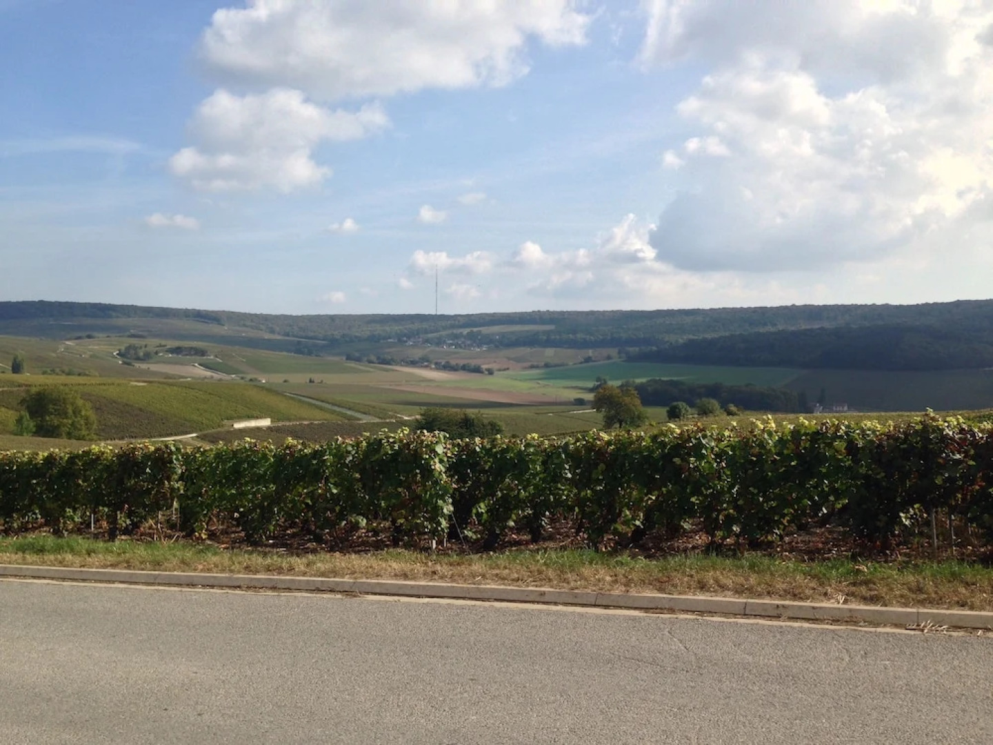 Flor'Ever en Champagne