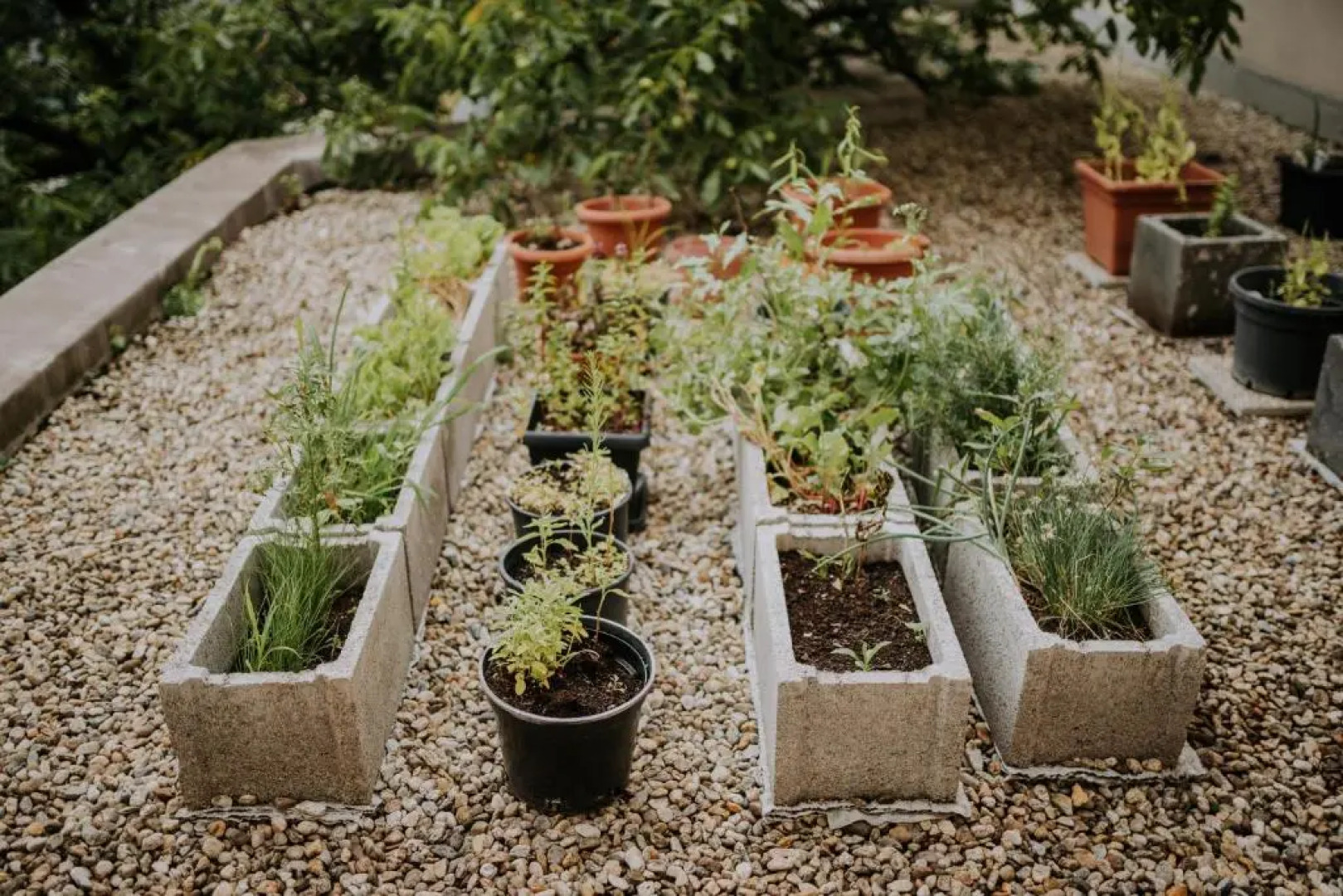 Boutique Hotel Maraton