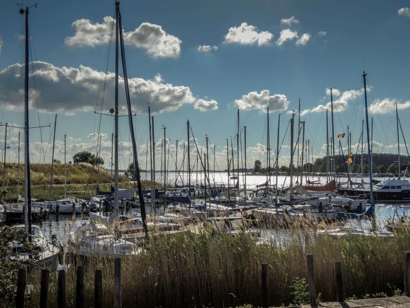 Modern Holiday Home in Wolphaartsdijk With Private Garden