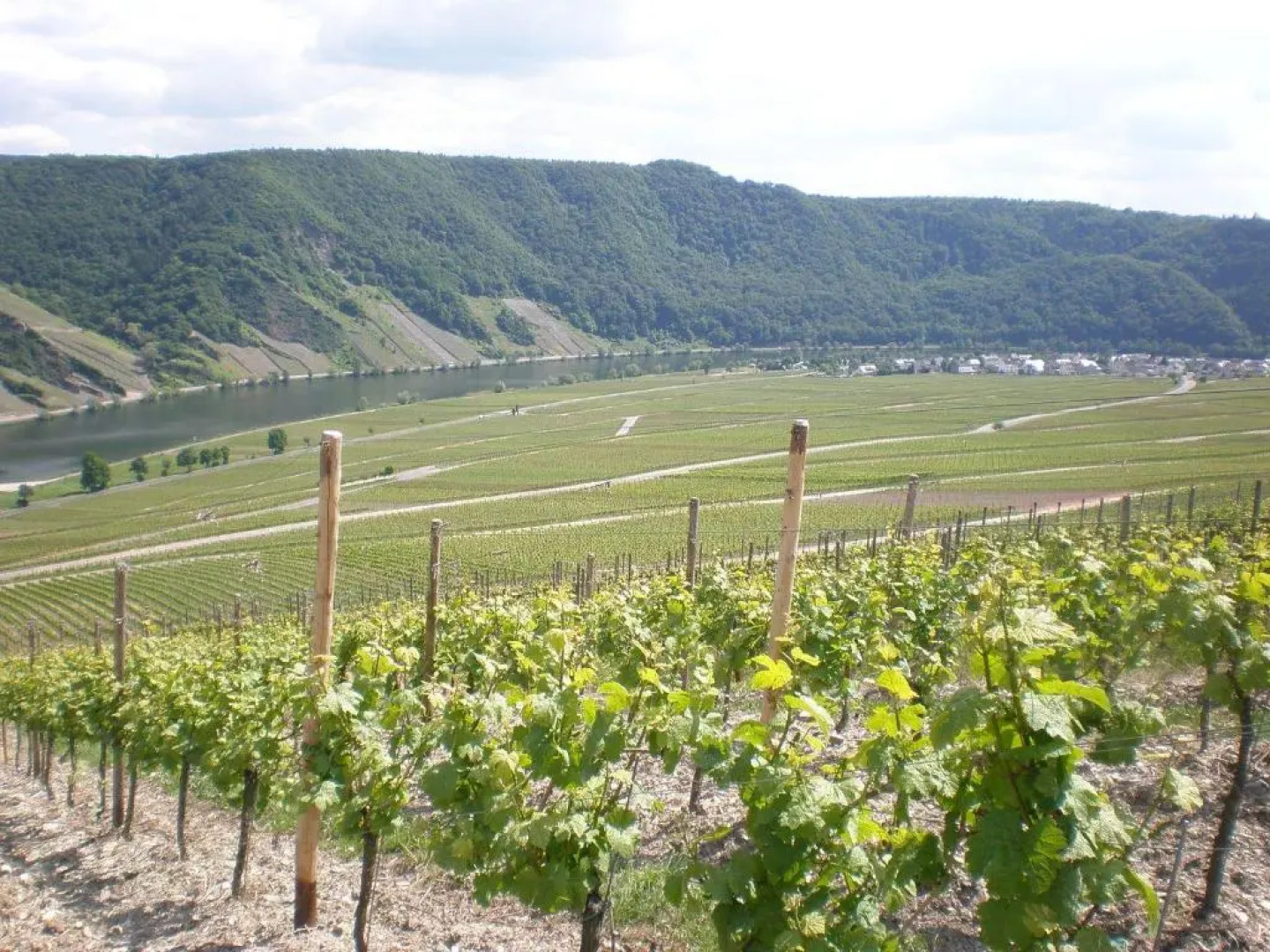 Holiday Home Weingut Mertes