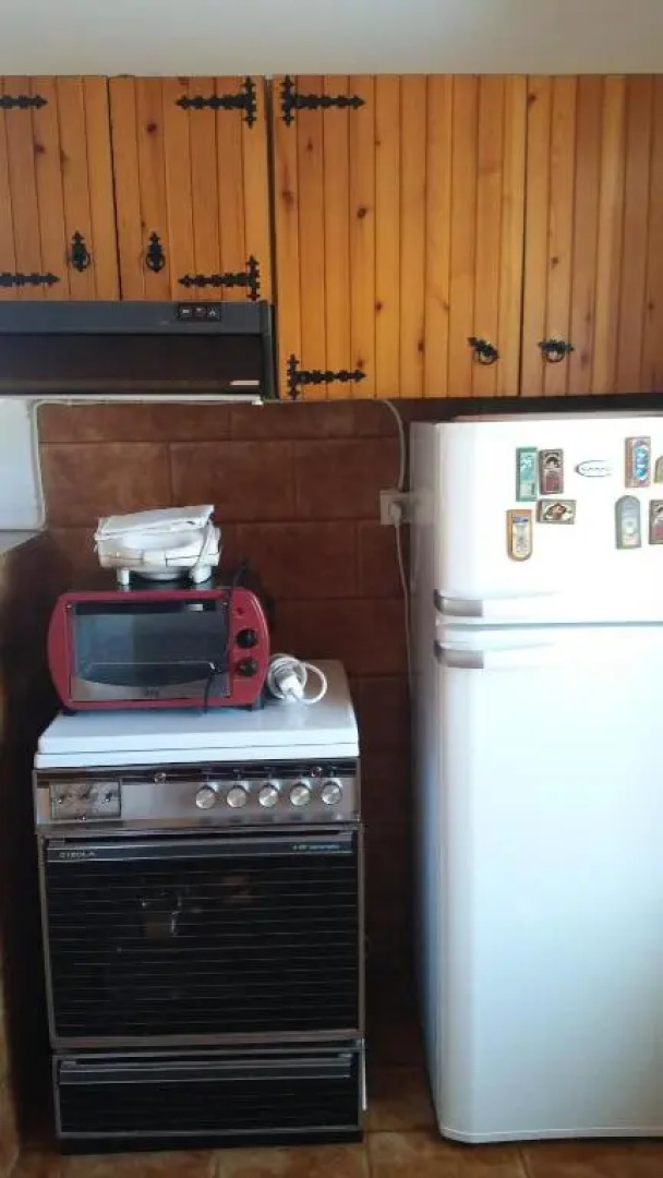 The large bougainvillea house