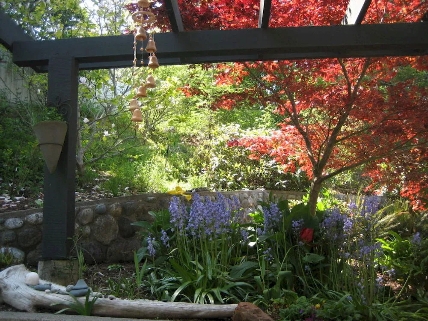 The Lodge at Weir's Beach