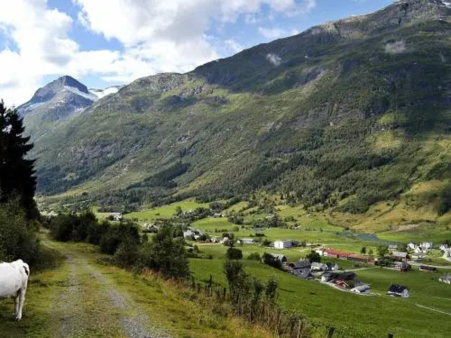 Four-Bedroom Holiday home in Olden 1