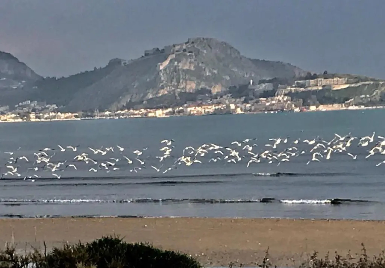 Casa Lela 2... Lerna