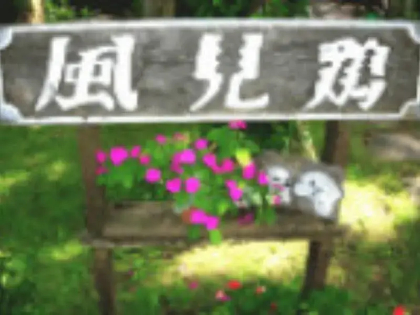 Woody House Kazamidori