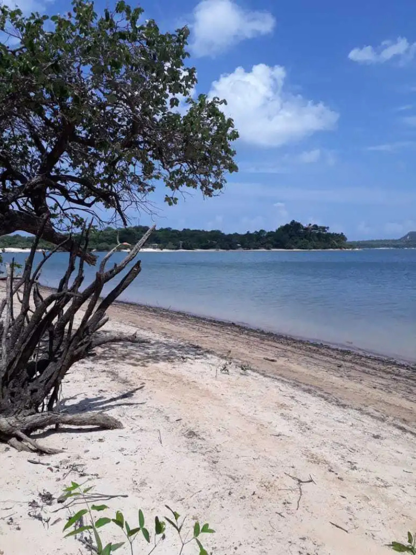 Villa Arumã Pousada