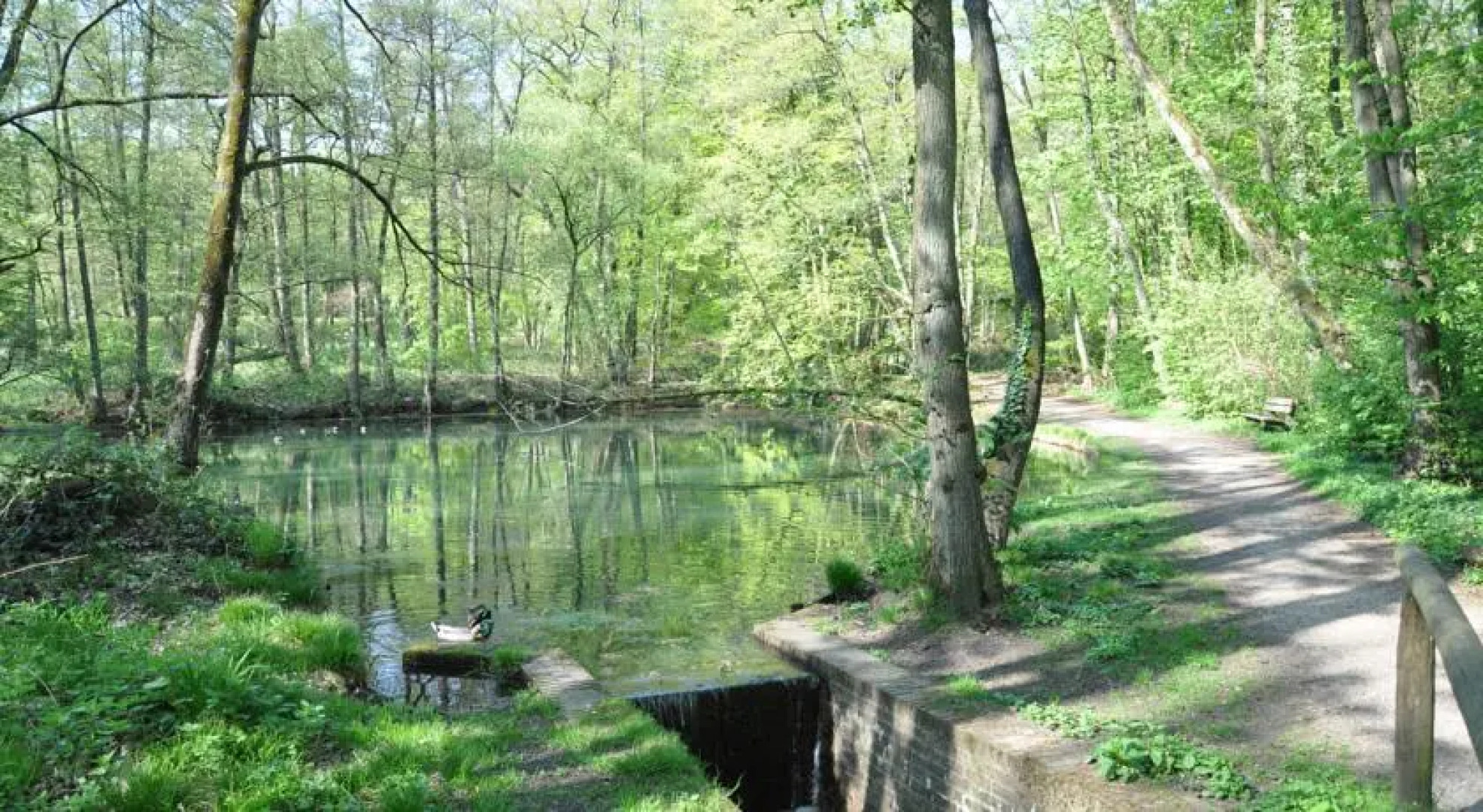 B&B Huize Klein Tafelberg