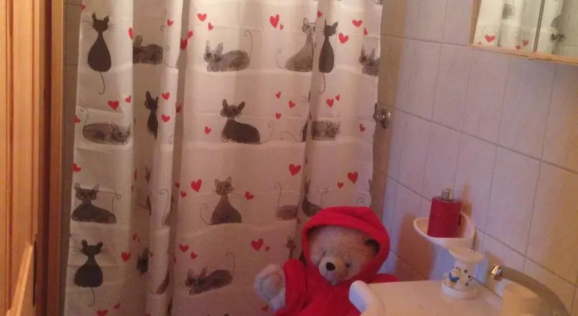 Studio chalet du Bonheur