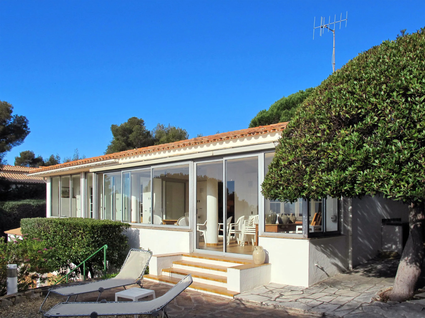 Pigeon Vole (LIS235)