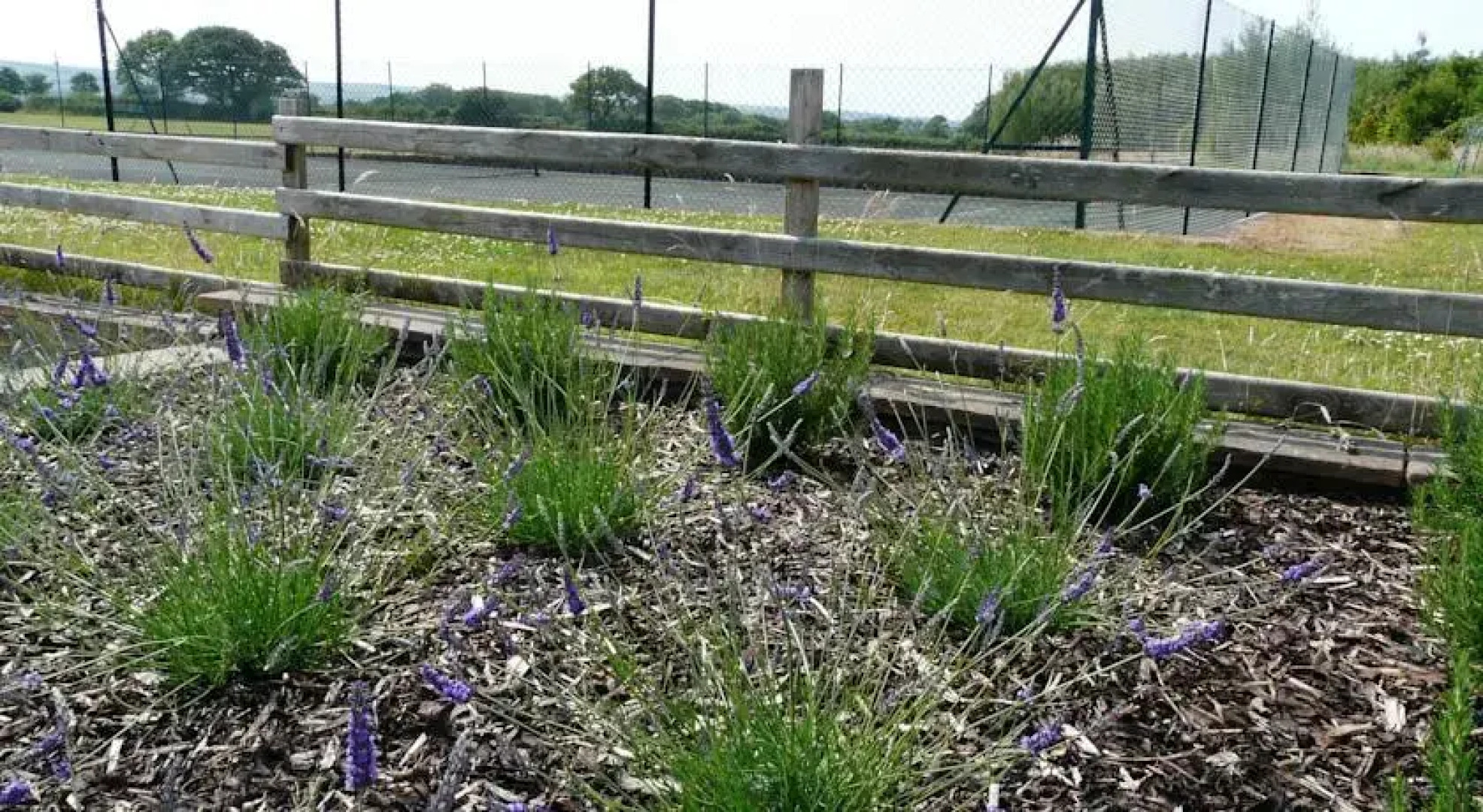 Lillimoor Farm Cottages