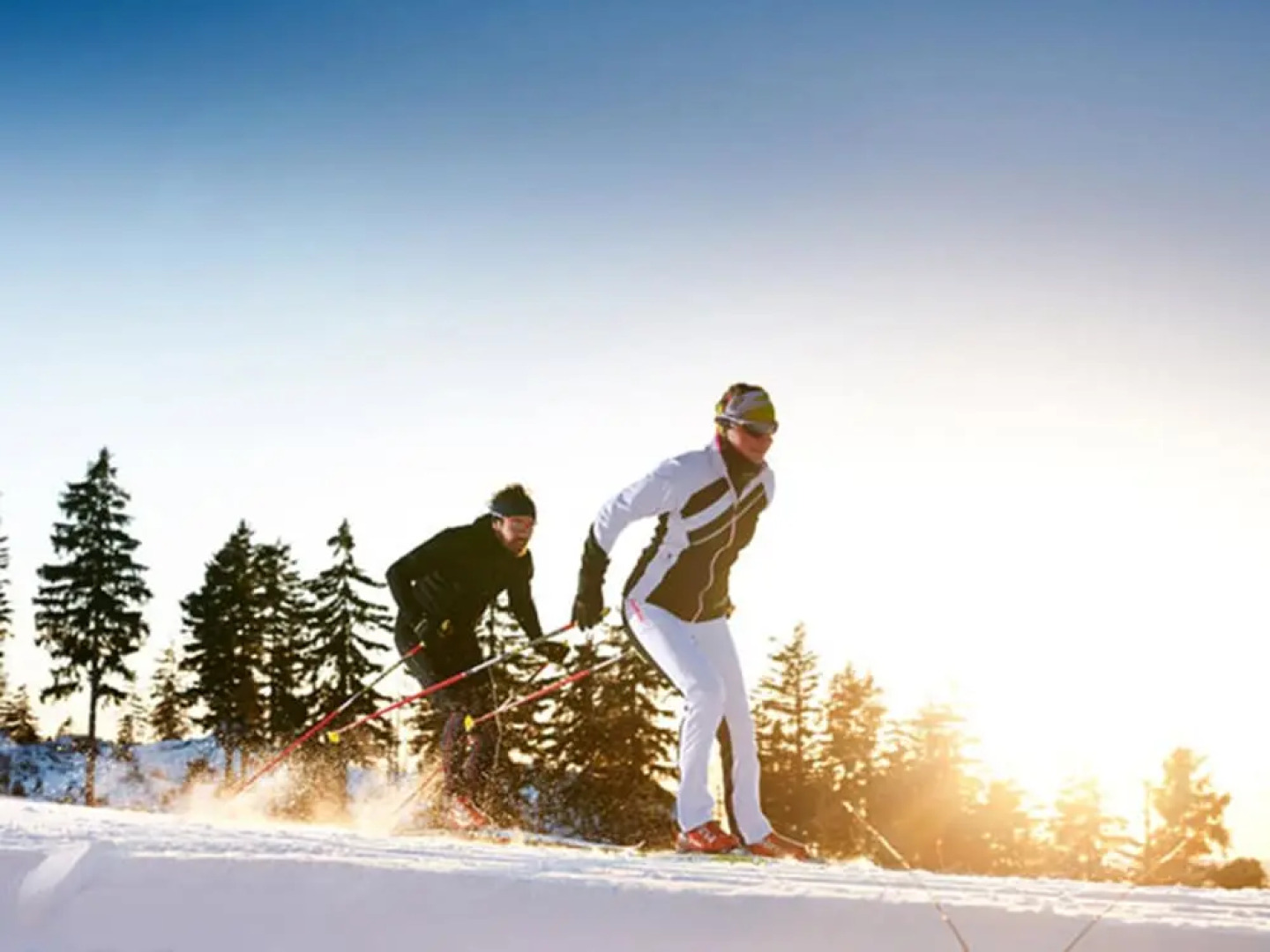 Almhotel Pinter ***Superior