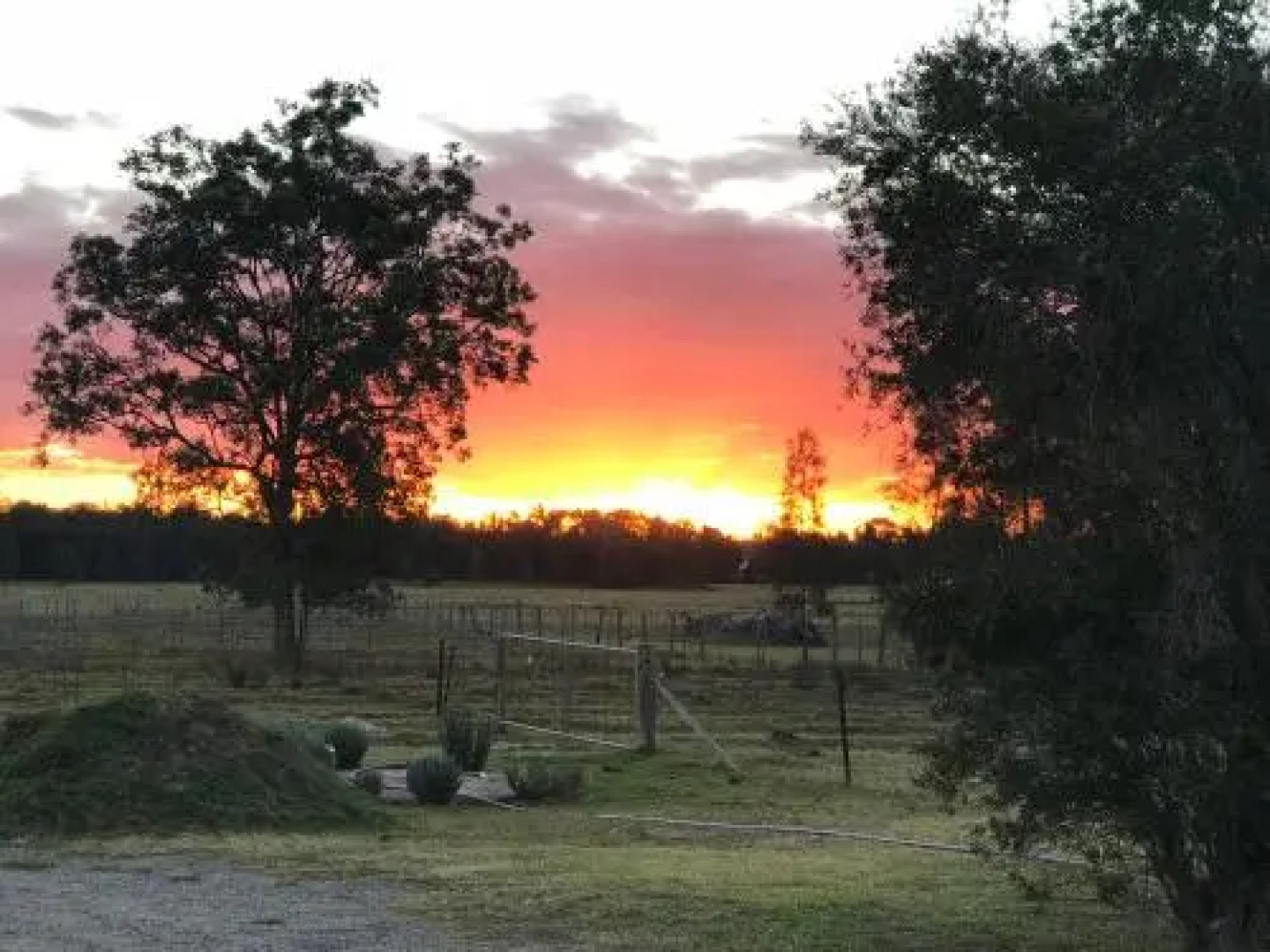 Lovedale Red Gum Cottage