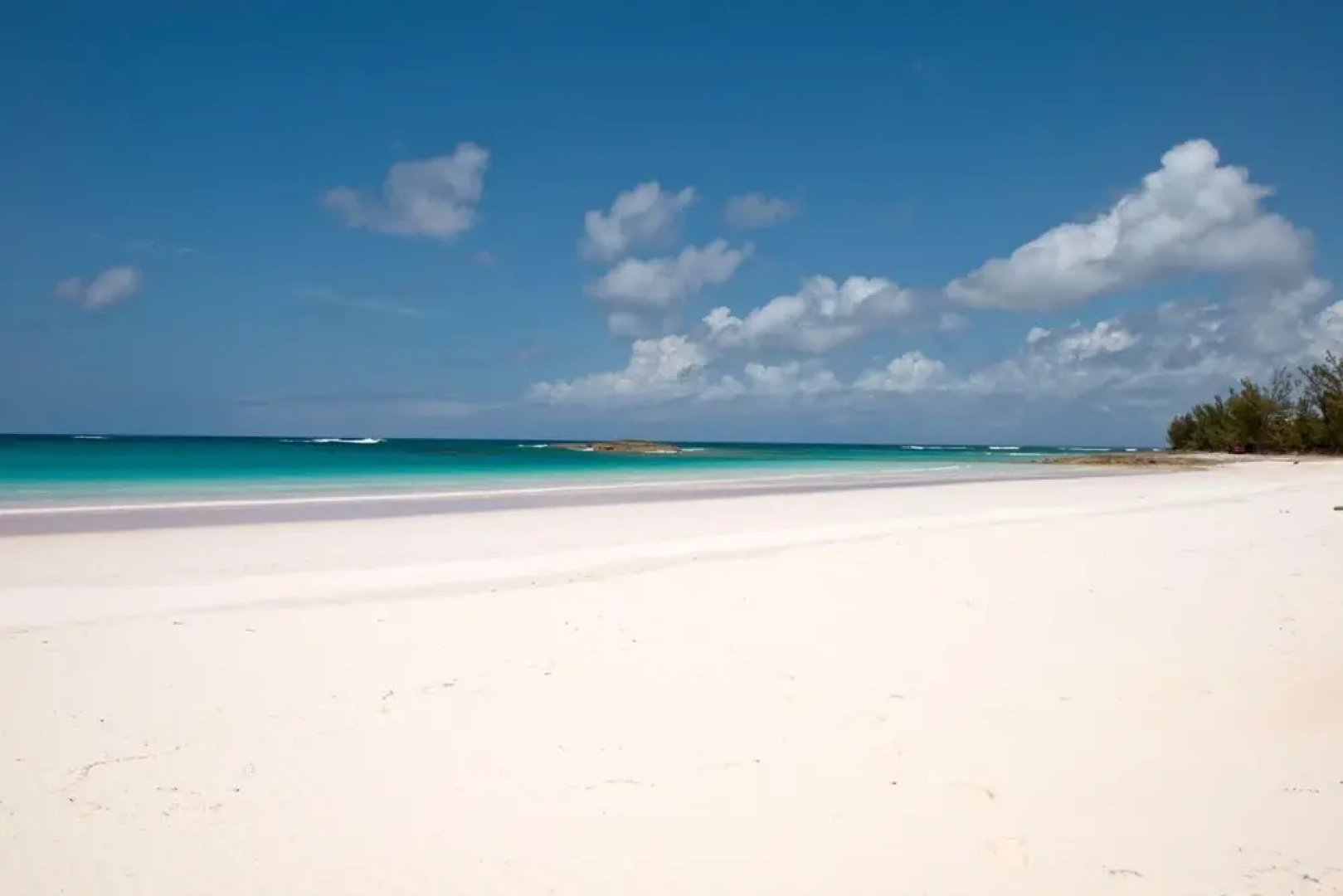 French Leave South Beach Compound
