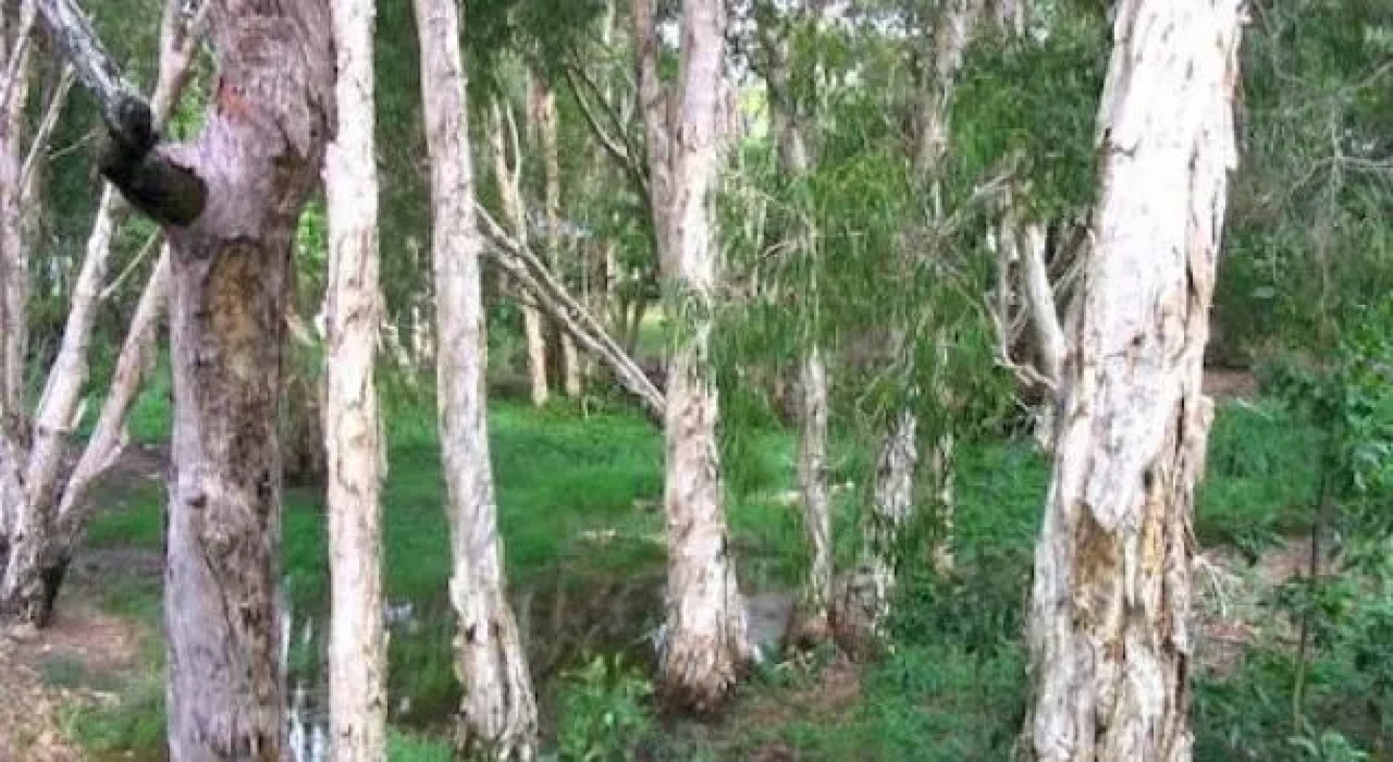 Clifton Beach Retreat