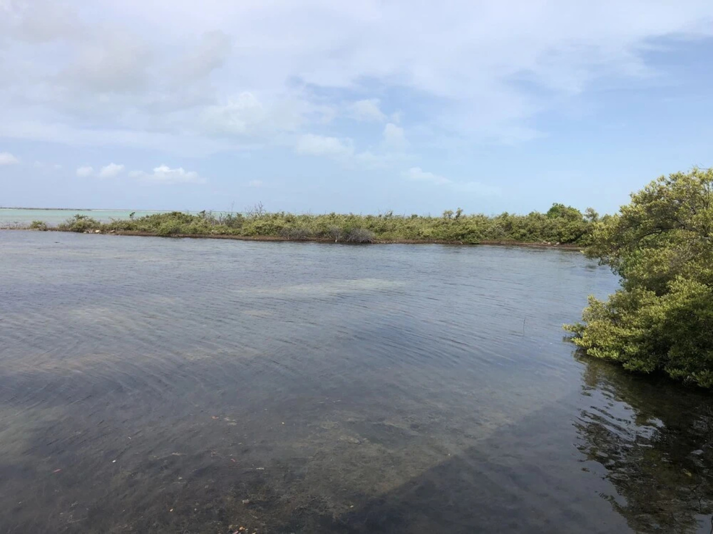 Kooters Vacation Rentals