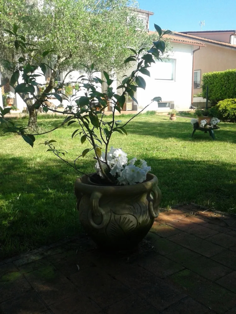 Villa Due Pini