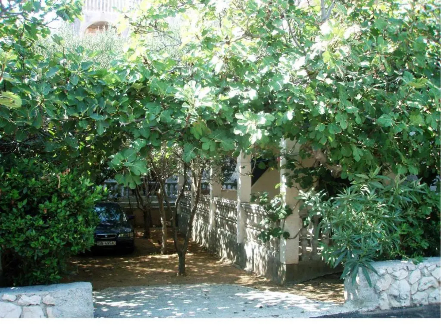 Apartments MINT Povljana - 50m from sandy beach