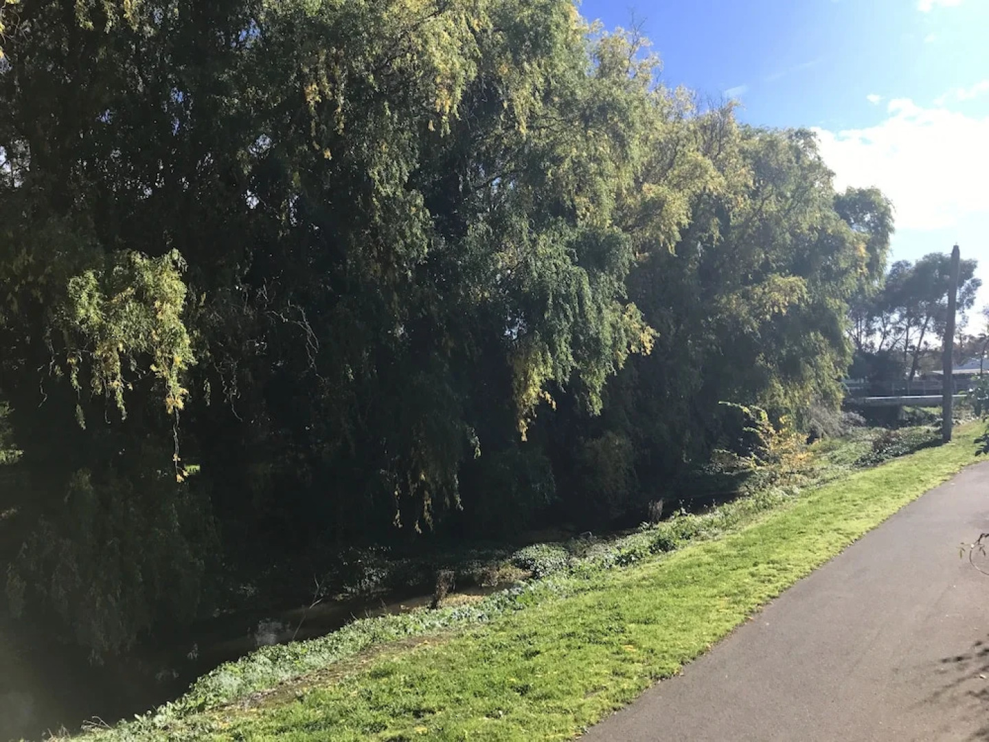 Comfort Inn Main Lead