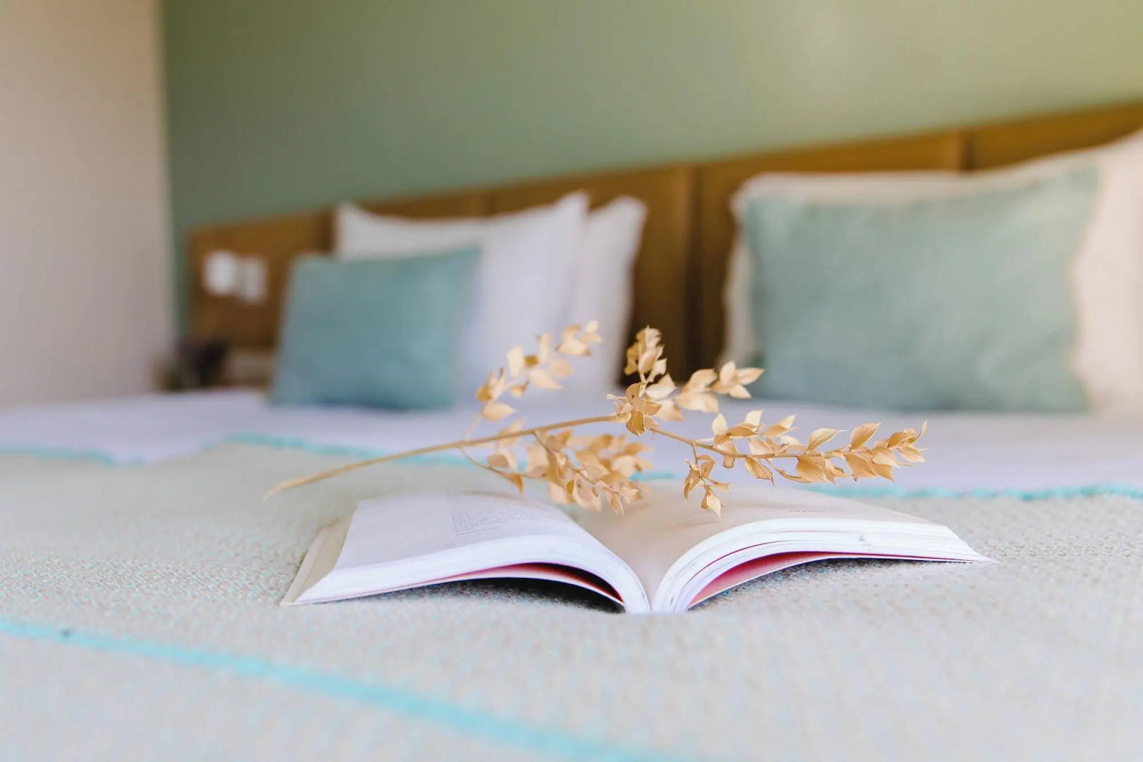 Santo Antonio de Fatima