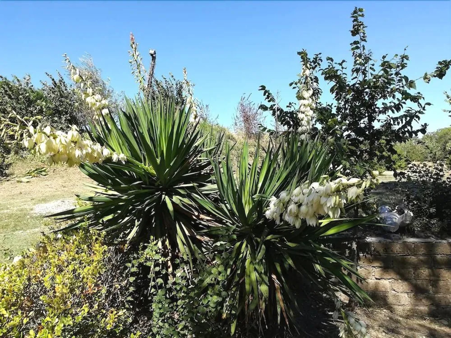 Agriturismo Colle al Sole