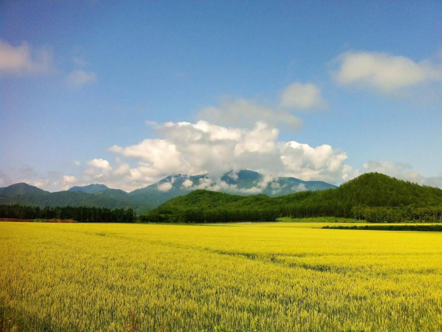 Obihiro Yachiyo Youth Hostel