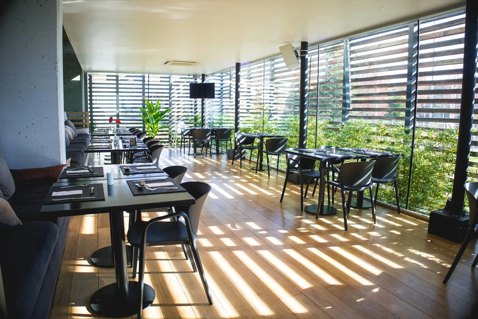 Wyndham Concepcion Pettra