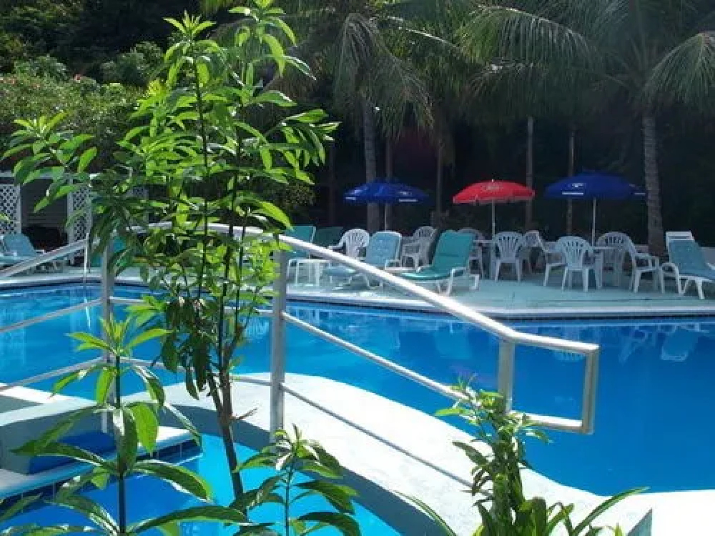 The Tamarind Club