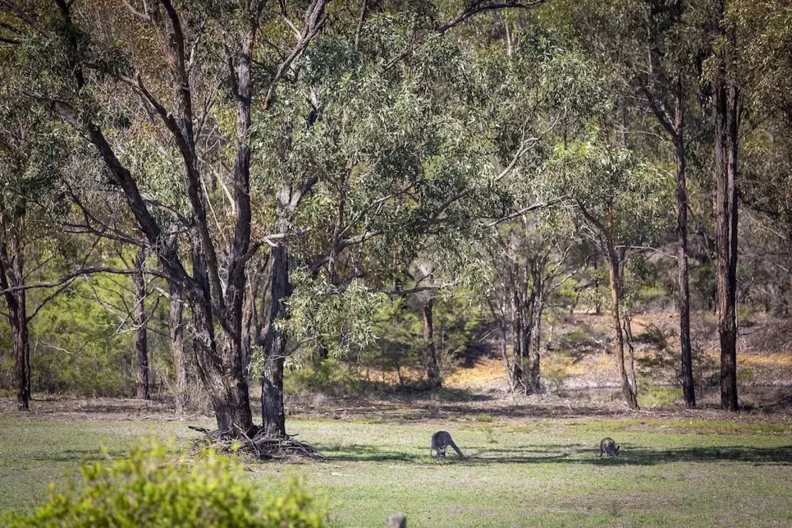 Wattle-Wilde Homestead