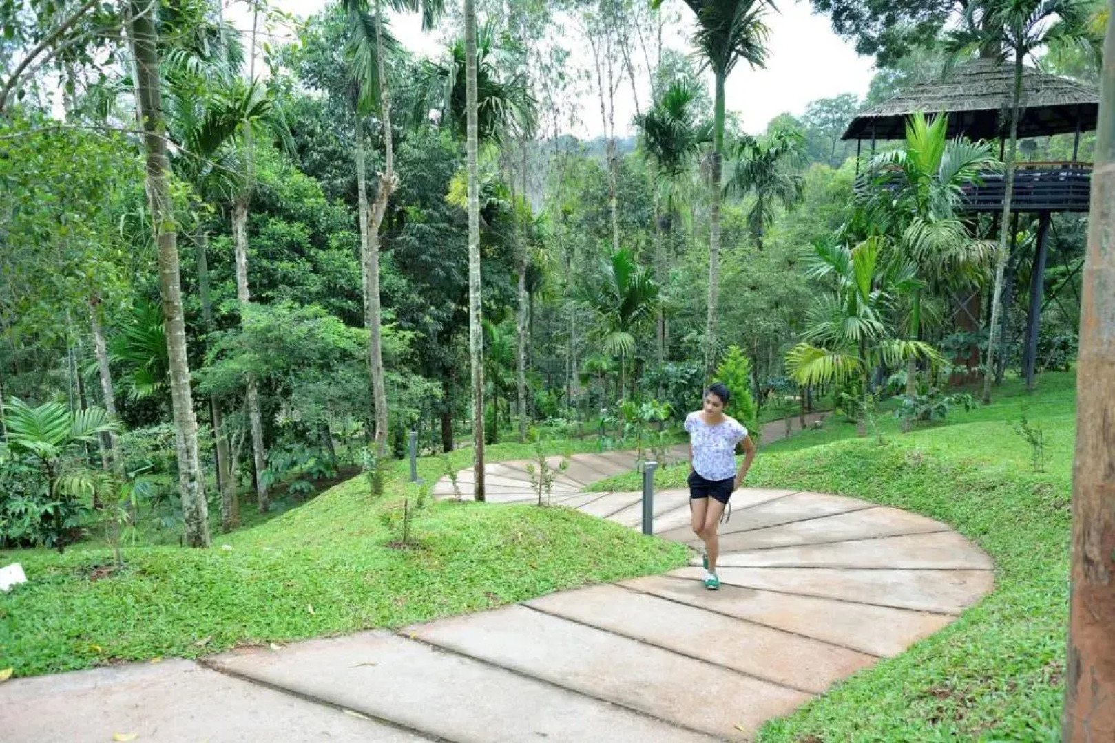 The Woods Resorts Wayanad