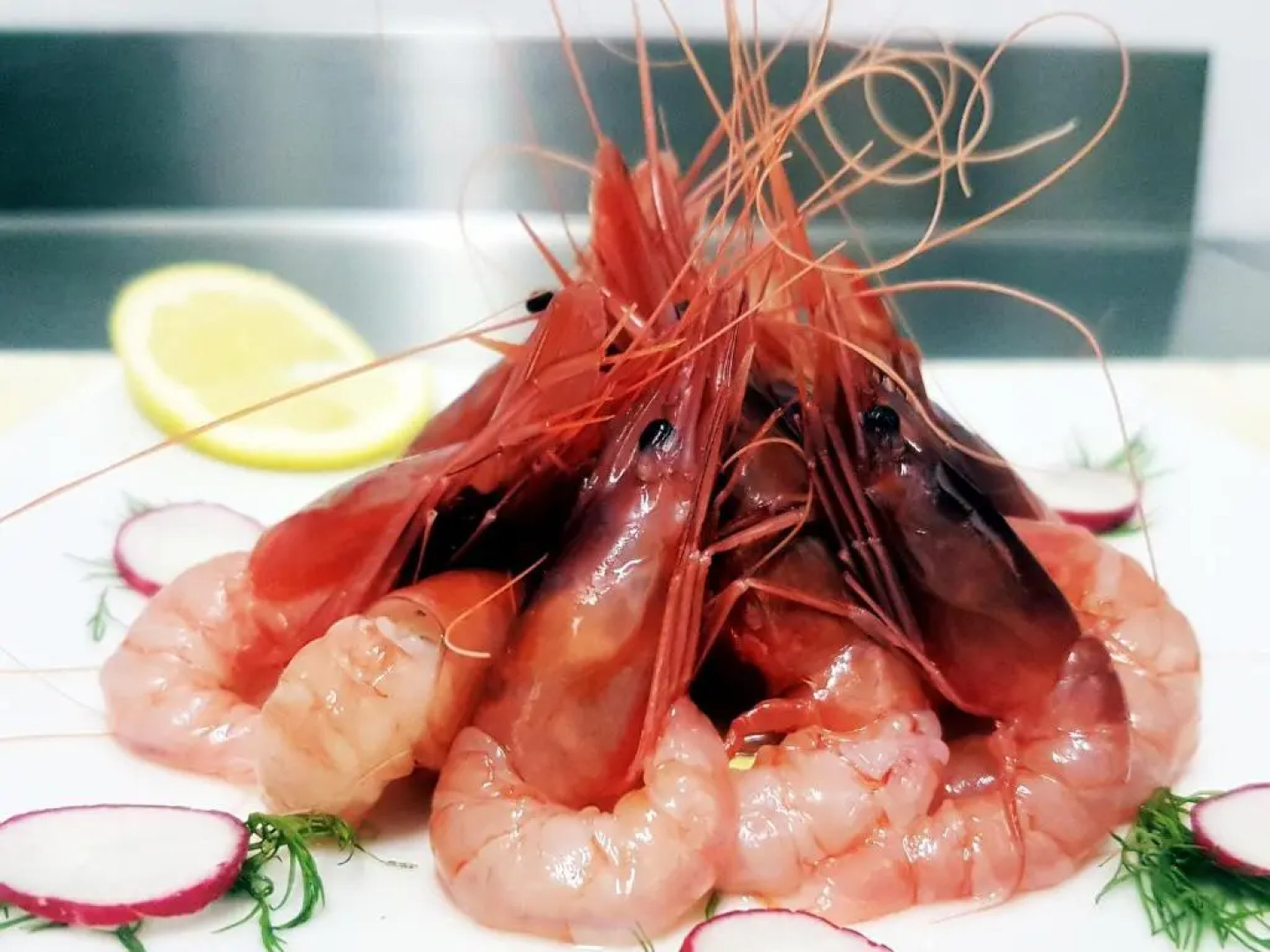 Mistral Exclusive B&B