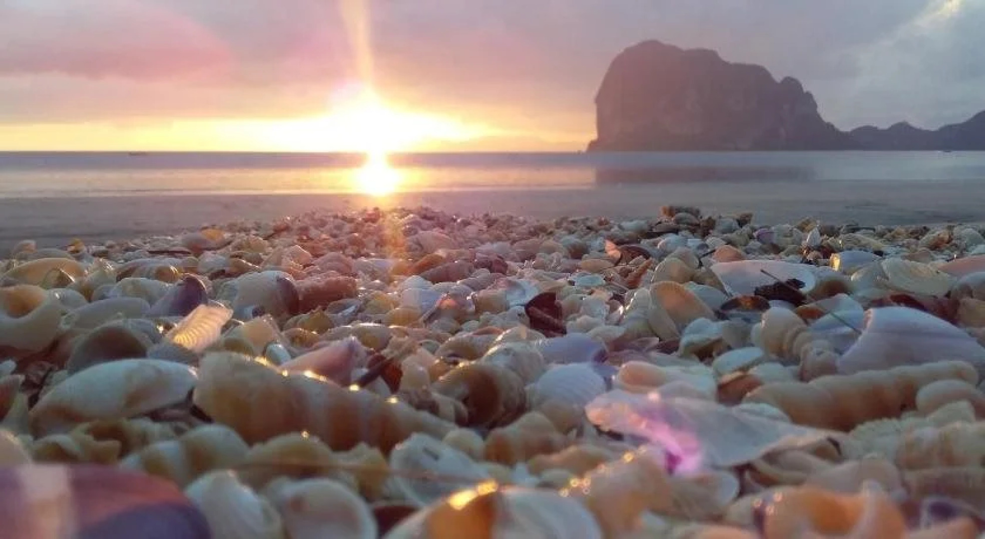 Beautiful Flower Resort