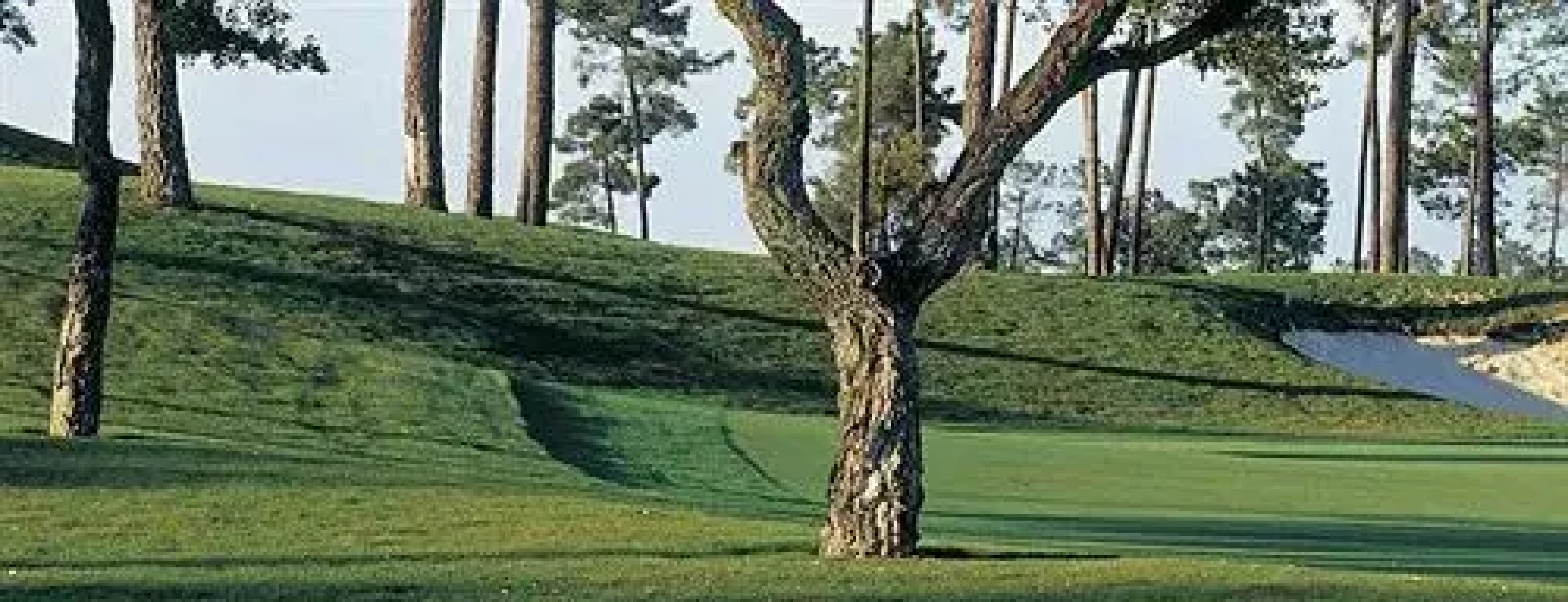 Arrabida Resort & Golf