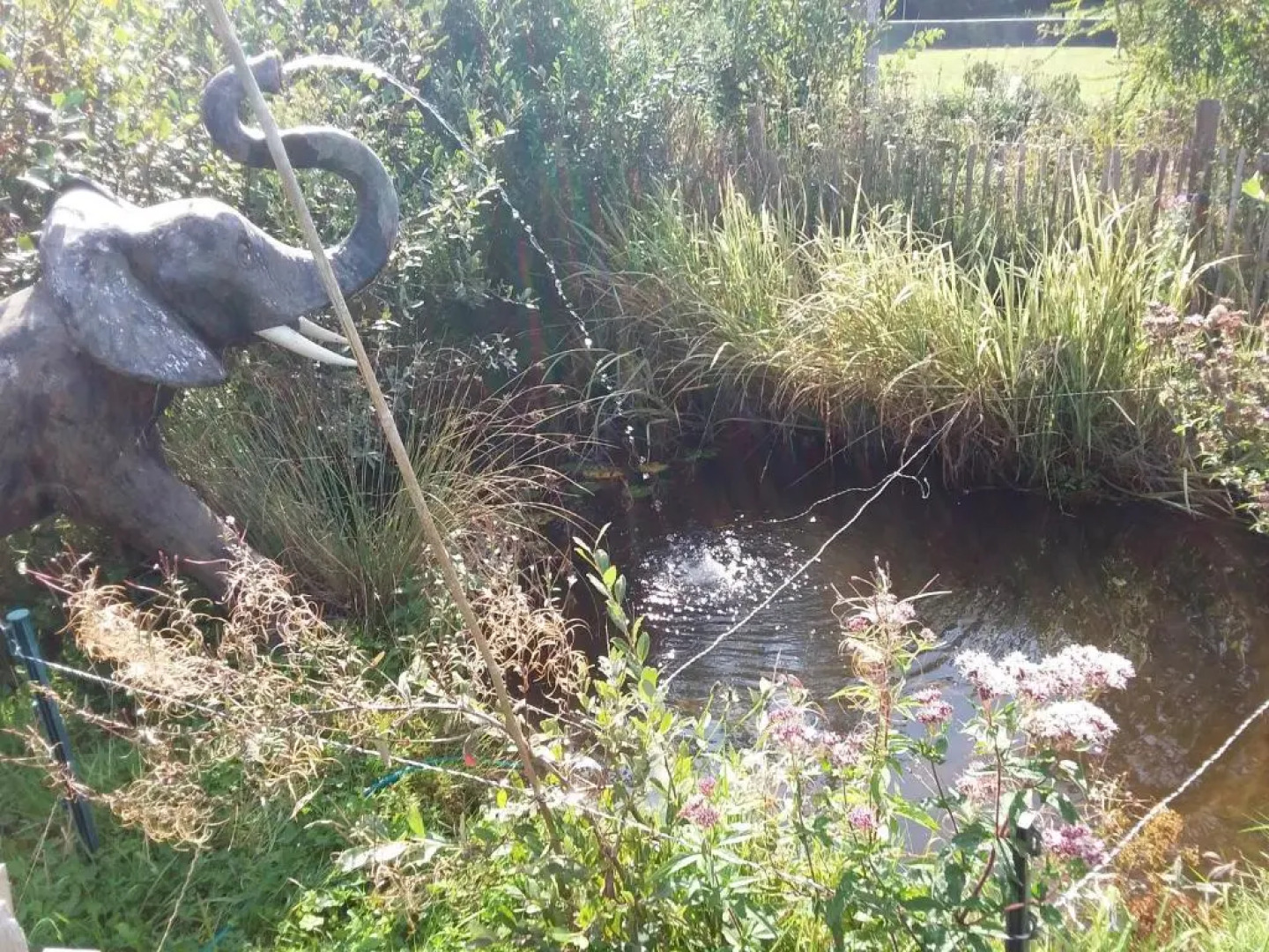 Roulotte de luxe vue mer 180° ,et un ha de verdure