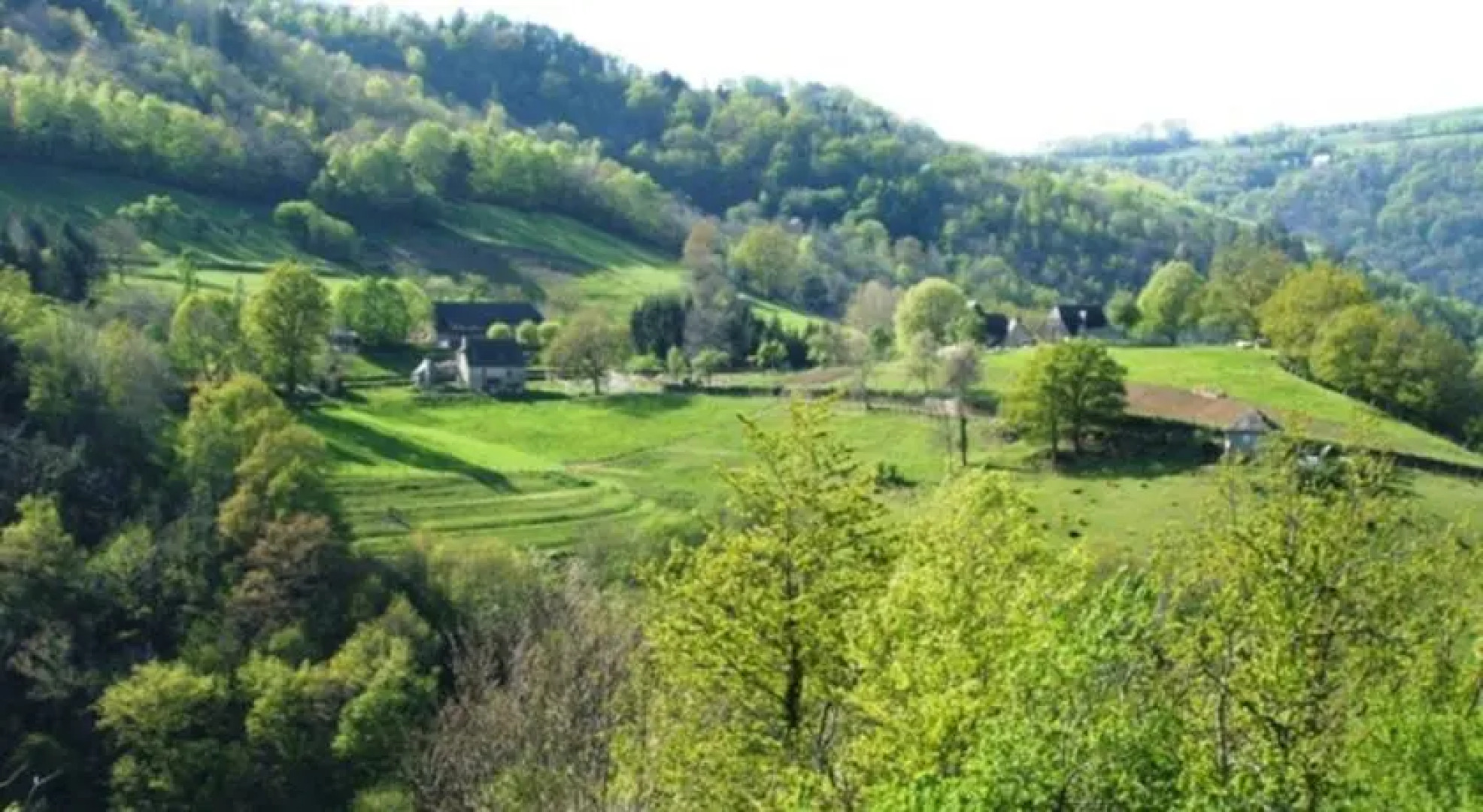 Domaine des Cazottes