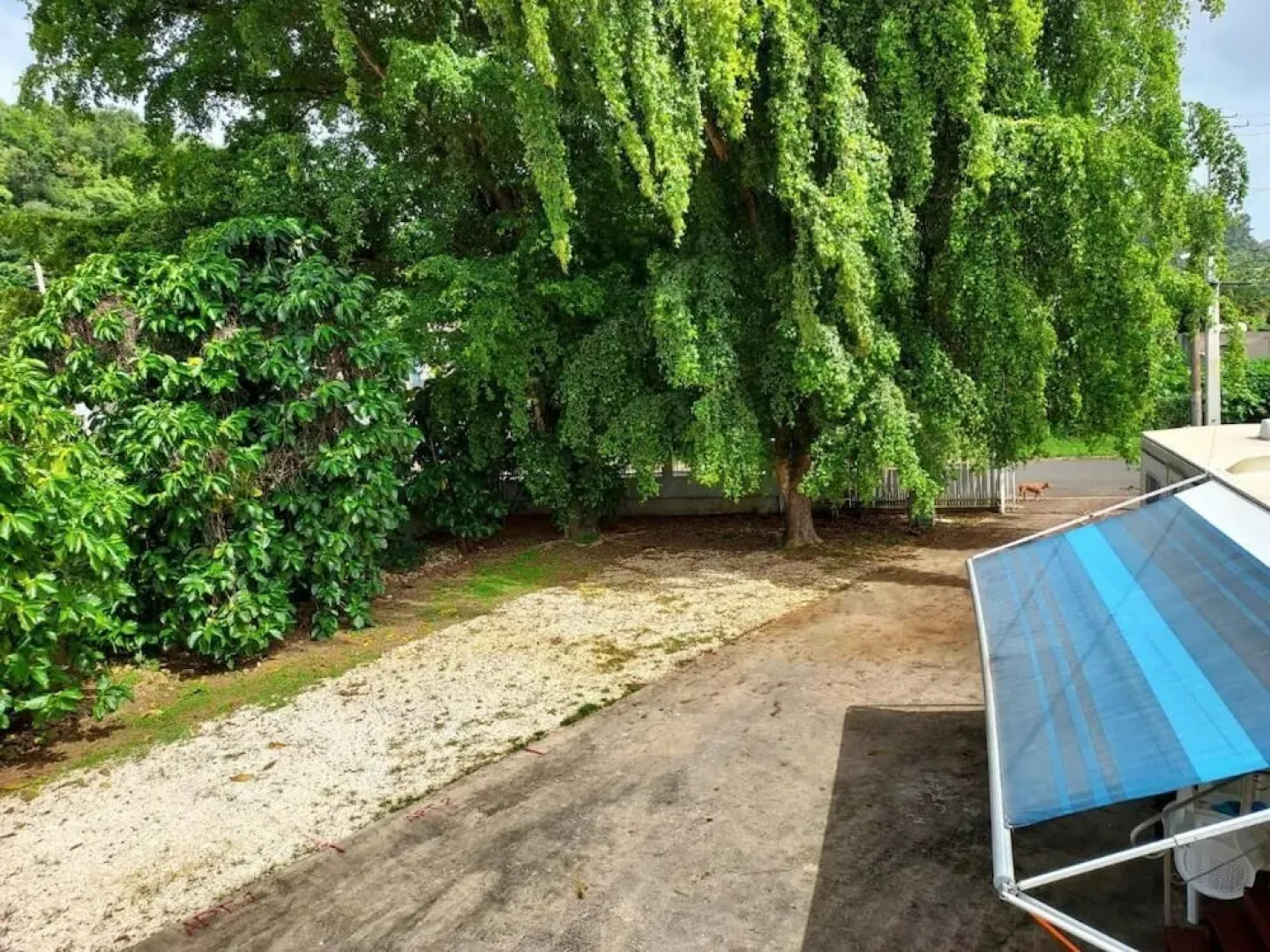 Confort y Relajacion