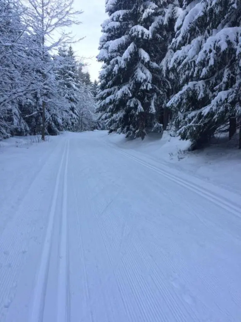 Apartments Dřevona II