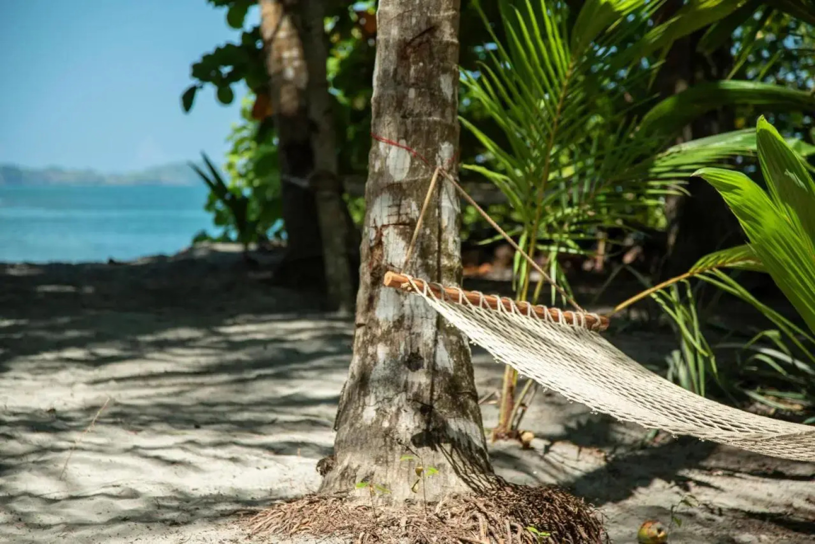 The Resort at Isla Palenque