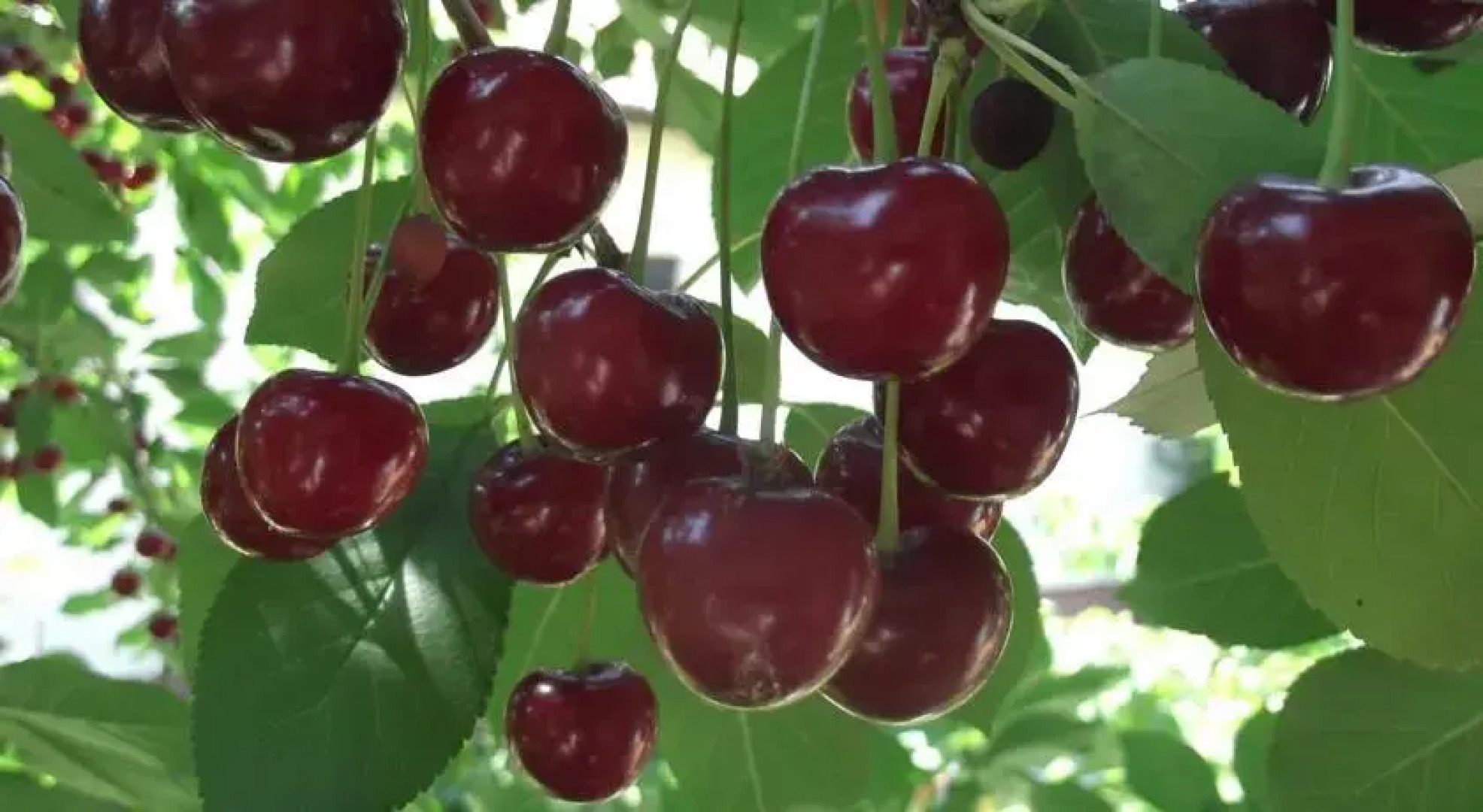 Sárréti Vendégház