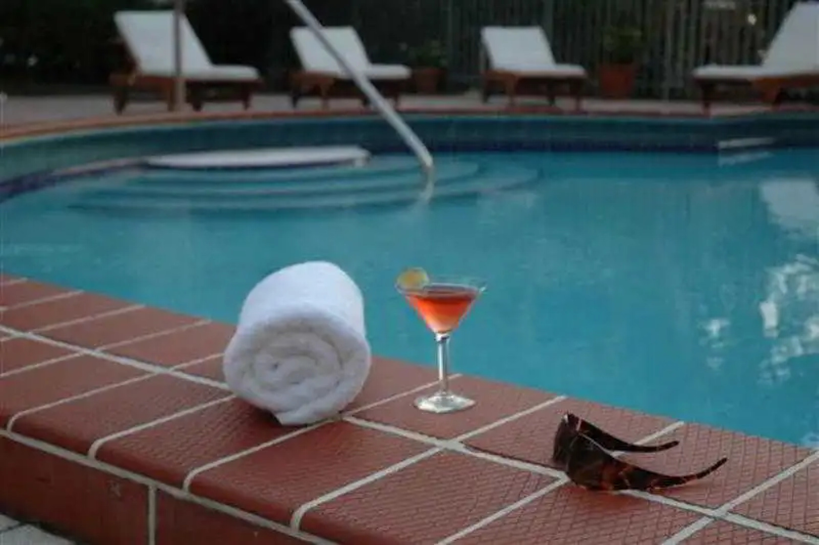 Carlton Hotel South Beach