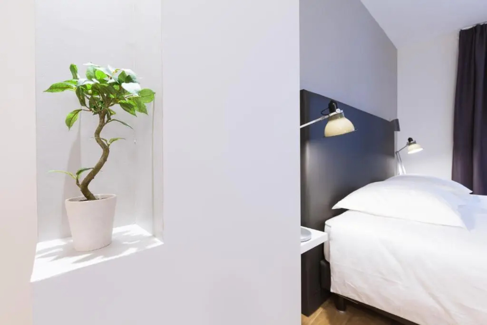 Studio luxe hyper centre piscine