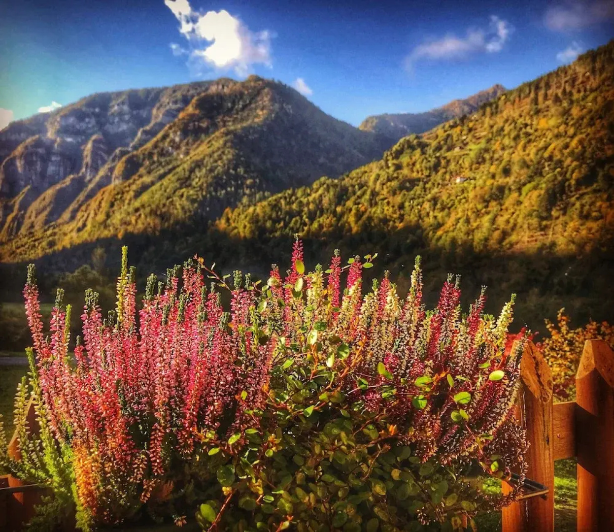 Eco-Baita Natura Spensierata