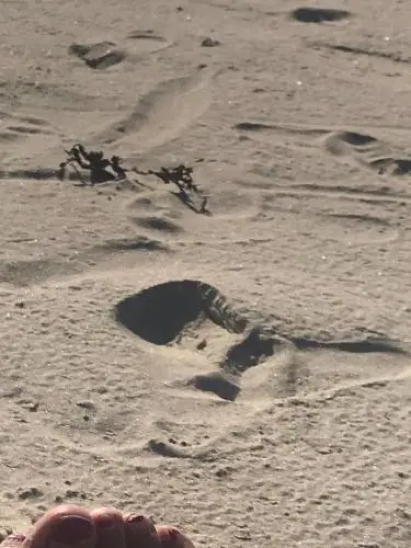 The Village Way Apartments