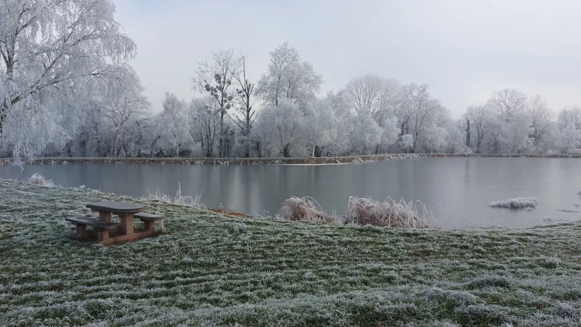 Le Moulin de L'étang