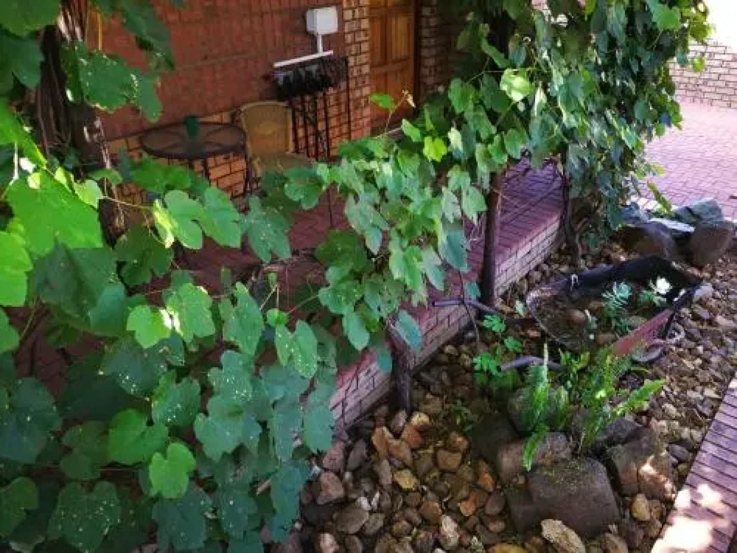 Ridderspoor Guest House