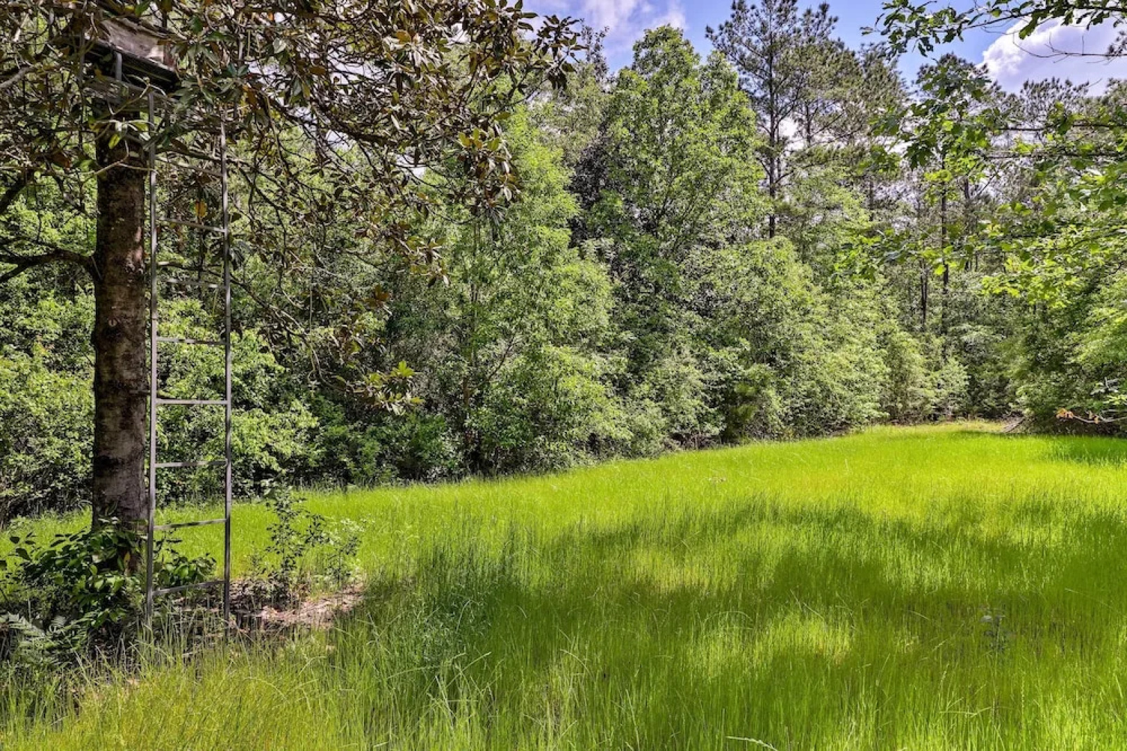 Secluded Cabin w/ Pond ~ 37 Mi to Gulf Coast!