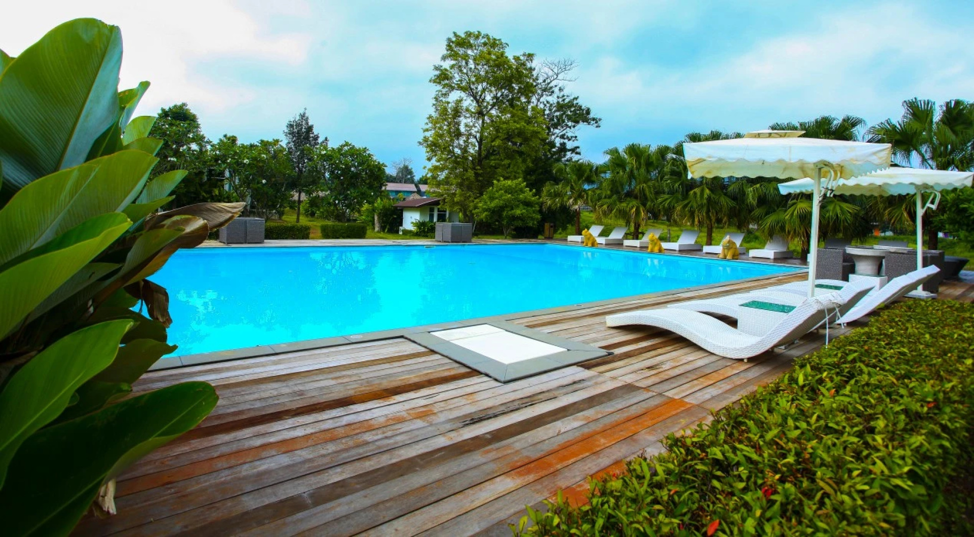 The Bloom by TV Pool